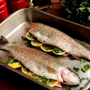 100 G Baked Breaded or Battered Trout