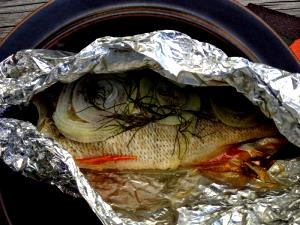 100 G Baked or Broiled Pike