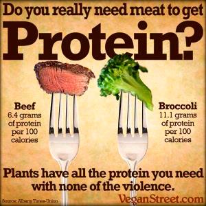100 G Beef and Broccoli
