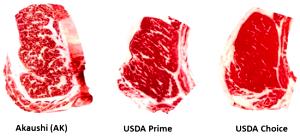100 G Beef Retail Cuts Composite (Trimmed to 1/2" Fat, Prime Grade)