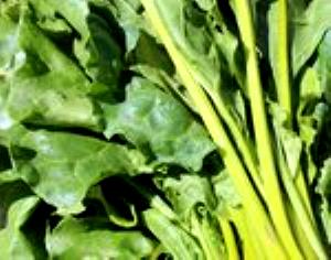 100 G Beet Greens