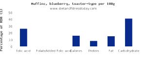 100 G Blueberry Muffins (Toaster Type)