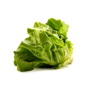100 G Boston Lettuce