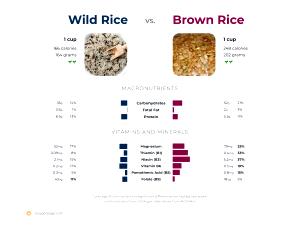 100 G Brown and Wild Rice (Fat Not Added in Cooking)