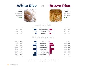 100 G Brown Rice (Fat Not Added in Cooking)
