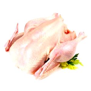 100 G Chicken Meat (Broilers or Fryers, Stewed)