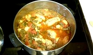 100 G Chicken or Turkey Stew with Potatoes and Vegetables in Tomato- Based Sauce