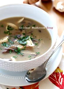 100 G Chicken or Turkey with (Mushroom) Soup (Mixture)