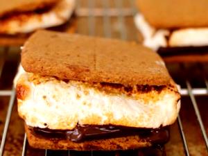 100 G Chocolate and Marshmallow Graham Cracker Sandwich