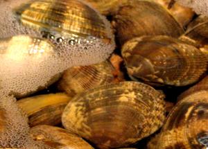 100 G Clams (Mixed Species)
