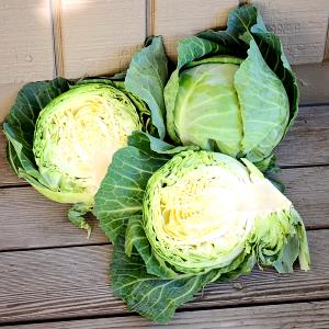 100 G Common Cabbage (Freshly Harvest)
