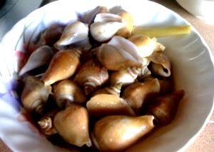 100 G Conch (Baked or Boiled)
