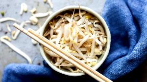 100 G Cooked Bean Sprouts (from Fresh, Fat Not Added in Cooking)
