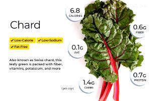 100 G Cooked Chard (Fat Not Added in Cooking)