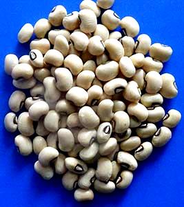 100 G Cooked Cowpeas, Field Peas or Blackeye Peas (from Fresh)