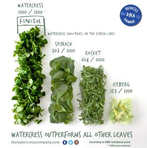 100 G Cooked Cress (from Fresh)