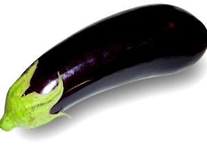100 G Cooked Eggplant (Fat Not Added in Cooking)