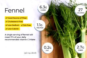100 G Cooked Fennel Bulb (Fat Not Added in Cooking)
