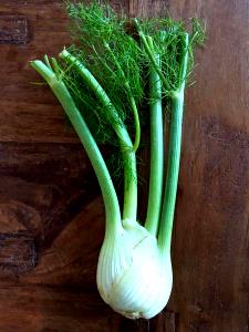 100 G Cooked Fennel Bulb