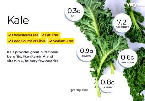 100 G Cooked Kale (from Fresh, Fat Not Added in Cooking)