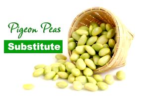 100 G Cooked Pigeon Peas (from Fresh, Fat Not Added in Cooking)