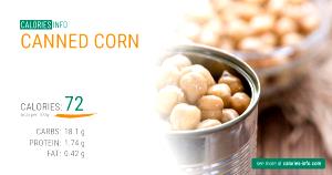 100 G Cooked White Corn (Canned)
