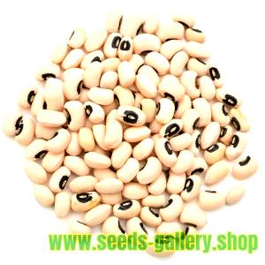 100 G Cowpeas (Blackeyes, Crowder, Southern) (Mature Seeds, with Salt, Cooked, Boiled)