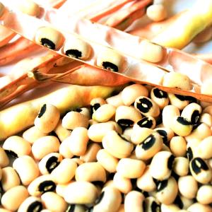 100 G Cowpeas (Blackeyes, Crowder, Southern) (Mature Seeds)