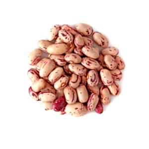 100 G Cranberry (Roman) Beans (Mature Seeds)