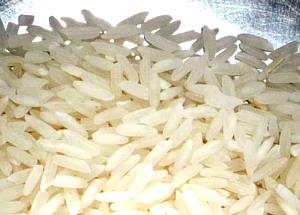 100 G Cream of Rice (Fat Not Added in Cooking)