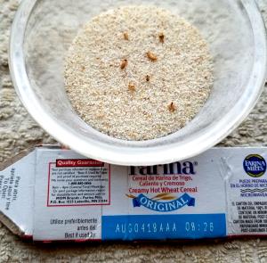 100 G Cream Of Wheat (Fat Not Added in Cooking)