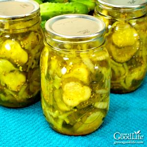 100 G Cucumber Pickles (Bread and Butter Pickles)