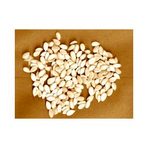 100 G Dried Watermelon Seeds