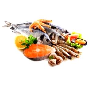 100 G Eastern Oyster (Canned)