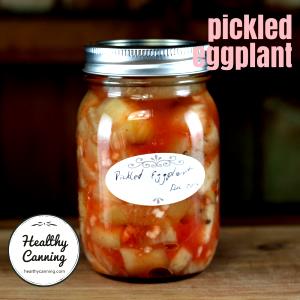 100 G Eggplant (Pickled)