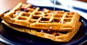 100 G Fat Free Plain Waffle