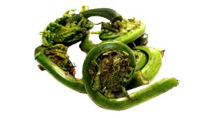 100 G Fiddlehead Ferns (Frozen)