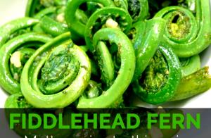 100 G Fiddlehead Ferns