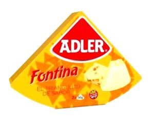100 G Fontina Cheese