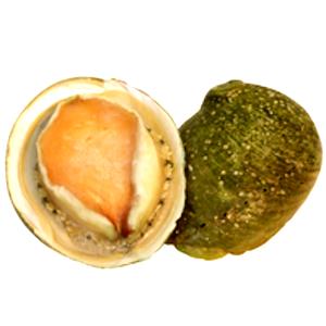 100 G Fried Floured or Breaded Abalone