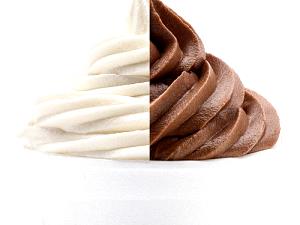 100 G Frozen Yogurt (Flavors Other Than Chocolate)