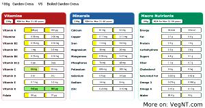 100 G Garden Cress (with Salt, Drained, Cooked, Boiled)