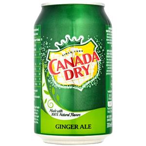 100 G Ginger Ale