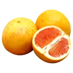 100 G Grapefruit
