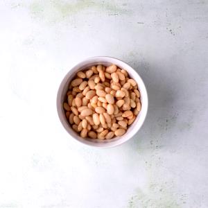 100 G Great Northern Beans (Mature Seeds, with Salt, Cooked, Boiled)