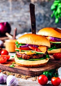 100 G Hamburger with Mayonnaise or Salad Dressing and Tomatoes on Bun