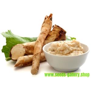 100 G Horseradish-Tree Pods (Without Salt, Drained, Cooked, Boiled)