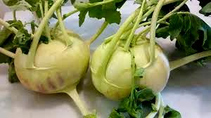 100 G Kohlrabi (Without Salt, Drained, Cooked, Boiled)