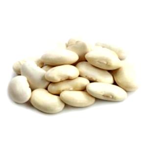 100 G Large Lima Beans (Mature Seeds)