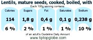 100 G Lentils (Mature Seeds, with Salt, Cooked, Boiled)